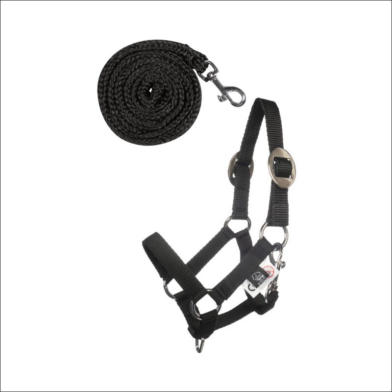Hobby Horsing Basic - Halfter und Strick - schwarz Hobby Horsing Basic - Halfter und Strick - schwarz