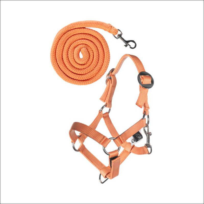 Hobby Horsing Basic - Halfter und Strick - orange Hobby Horsing Basic - Halfter und Strick - orange