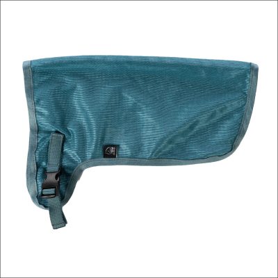 Hobby Horsing - Fliegendecke - türkis