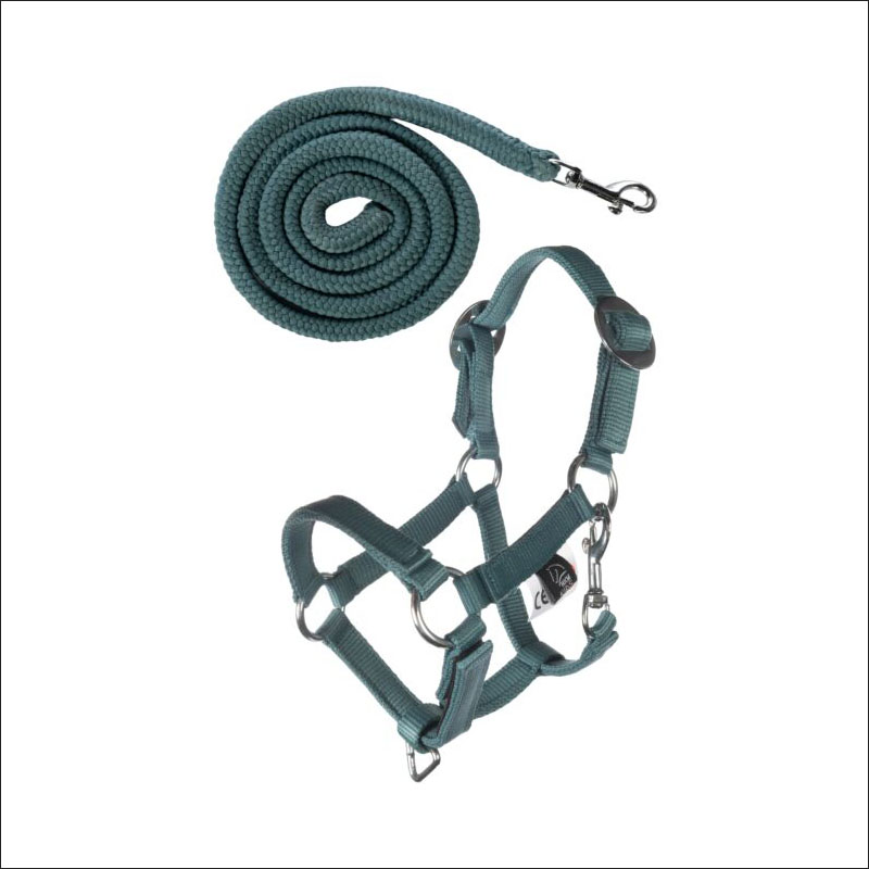Hobby Horsing Basic - Halfter und Strick - türkis Hobby Horsing Basic - Halfter und Strick - türkis