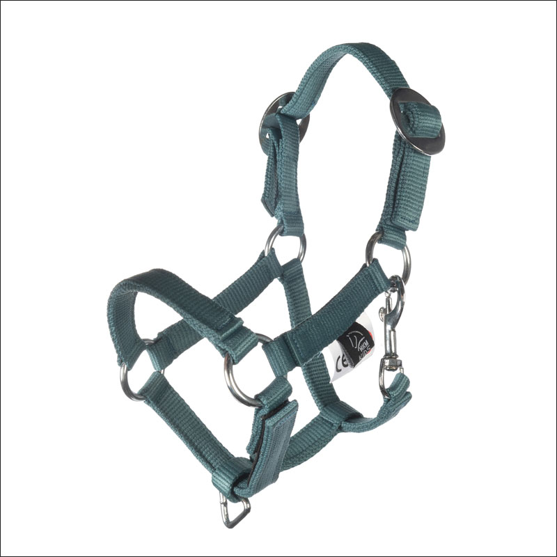 Hobby Horsing Basic - Halfter und Strick - türkis Hobby Horsing Basic - Halfter und Strick - türkis