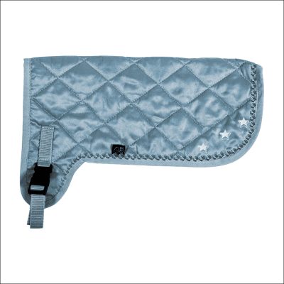 Hobby Horsing - Premium - Decke - türkis